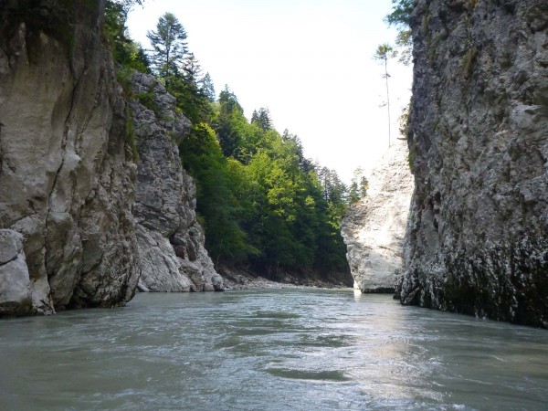 130831_Kössener_Ache_Erpfendorf_B307_13