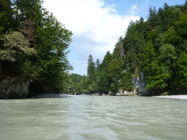 130831_Kössener_Ache_Erpfendorf_B307_18