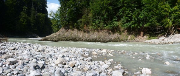 130831_Kössener_Ache_Erpfendorf_B307_20