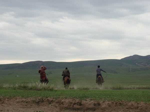 2015_Orkhon_Mongolei_13