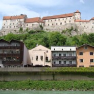 Kuckuck auf der Salzach