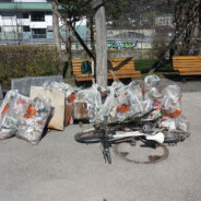 Inn-Ufer-Reinigung 2015