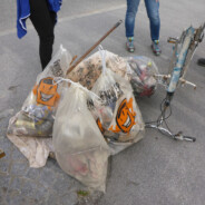 Inn-Ufer-Reinigung 2016