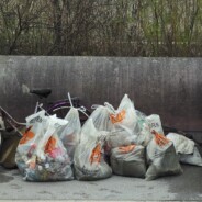 Inn-Ufer-Reinigung 2017